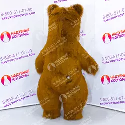 Аэромедведь с длинным бурым мехом